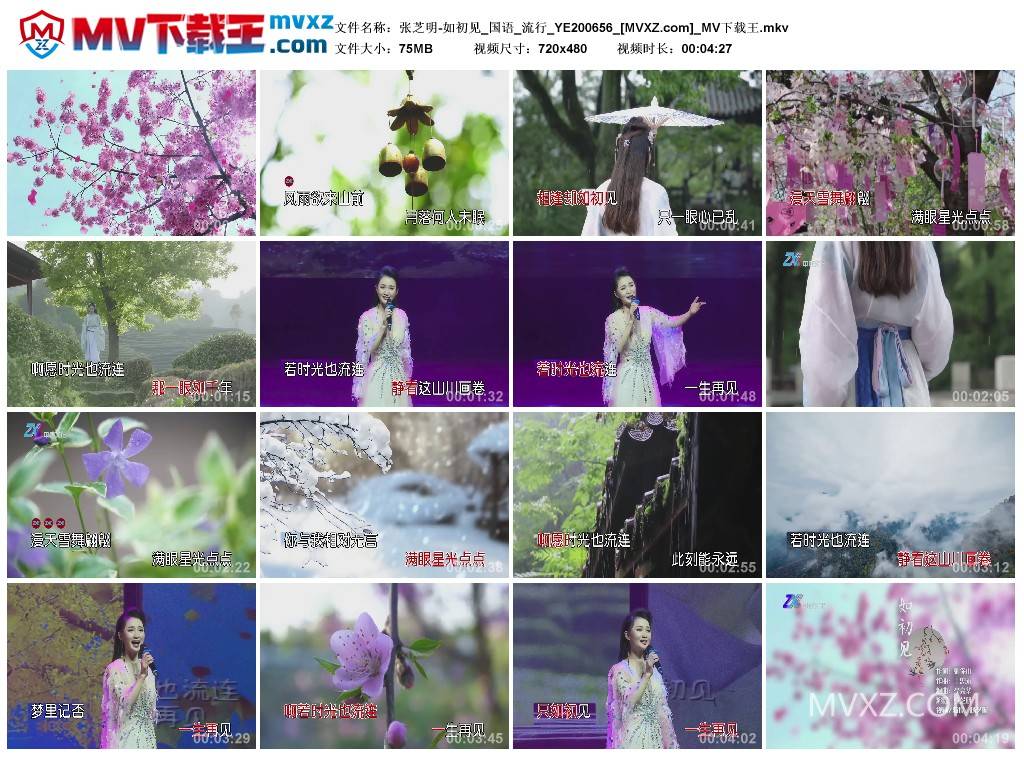 张芝明-如初见_国语_流行_YE200656